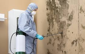 Best Asbestos and Lead Testing During Mold Inspection  in Barrington, IL